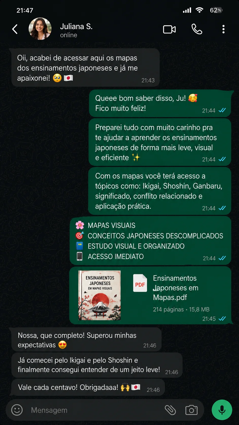 Depoimento sobre os ensinamentos japoneses em mapas visuais